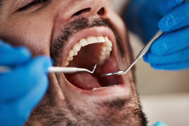 Best Cosmetic Dentistry  in Callaway, MD